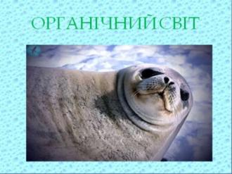 /Files/images/vchitel_roku/tvorch_roboti_uchnv/pl_8.jpg