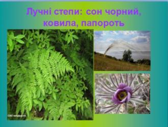/Files/images/vchitel_roku/tvorch_roboti_uchnv/zl_13.jpg