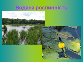 /Files/images/vchitel_roku/tvorch_roboti_uchnv/zl_14.jpg