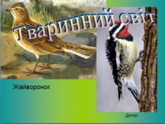 /Files/images/vchitel_roku/tvorch_roboti_uchnv/zl_15.jpg